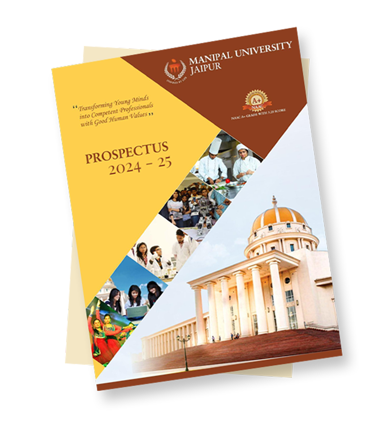 Brochure